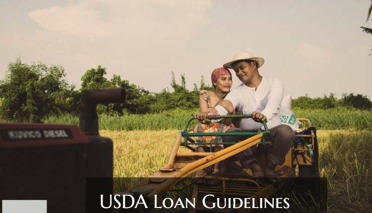 USDA Loan Guidelines