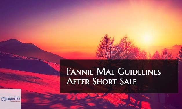 Fannie Mae Guidelines Mortgage After Short Sale