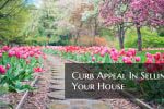 Curb Appeal In Selling Your House