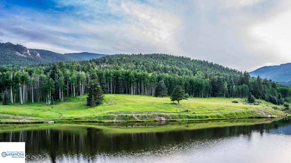 Colorado Springs Housing Market For Home Buyers 3 How Qualifying For Mortgage With Direct Colorado Lender With No Overlays In Colorado Springs Housing Market